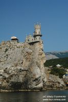 DSC05415