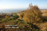 DSC00869